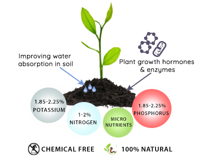 Vermicompost